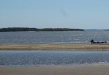 Una primavera entre ríos y palmeras