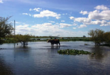 Más de 480 productores recibieron aportes del gobierno provincial por la emergencia