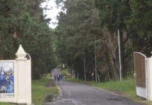 Abusos en Entre Ríos: tres curas son investigados por delitos contra menores