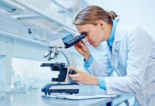 ¿Para qué sirven las células madre?