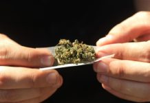 La ONU pidió despenalizar la tenencia de drogas para consumo