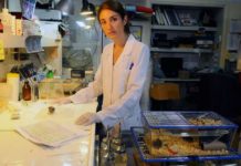 Semillero de la ciencia: sueñan desde ganarle al Parkinson hasta sanear el Riachuelo