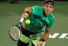 Indian Wells: Del Potro no pudo con Djokovic y quedó eliminado