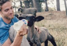 Australia, la tierra prometida para trabajar, estudiar y viajar