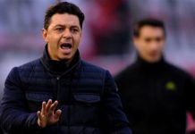 Los refuerzos de River: los puestos que quiere cubrir Gallardo y las situaciones de Pinola y Scocco