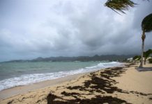 El huracán Irma tocó tierra en el Caribe y Donald Trump declaró la emergencia en Florida