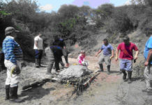 Rescatan restos fósiles de glyptodontidae en el arroyo Cortés del departamento La Paz