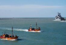 Avanzan con la contratación de una empresa para la búsqueda en el mar