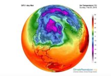 «Los fondos para luchar contra el cambio climático son limitados, porque lo más rentable no es sostenible»