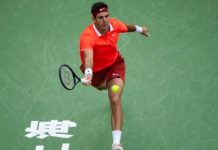 Del Potro, todavía afectado por la gripe, busca dar un nuevo paso en Shanghái