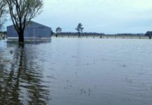 Inundaciones: declaran la emergencia agropecuaria en cuatro provincias