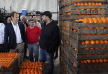 Bordet abogó por políticas macroeconómicas que potencien las economías regionales