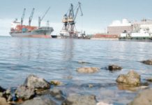 Cede Nación predio portuario clave para el tren de Vaca Muerta