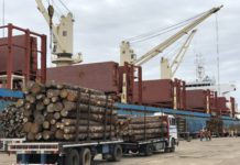 Se realiza una nueva exportación de madera desde el puerto de Concepción del Uruguay