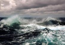 Emprender en la Argentina: aprender a nadar en aguas turbulentas