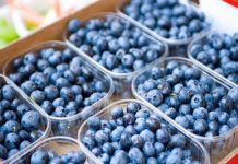 Se concretan nuevos destinos para la exportación de arándanos entrerrianos