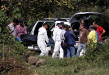 México: descubren los cuerpos de siete hombres en tres camionetas abandonadas