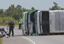 Alerta en la ruta: ¿los colectivos de doble piso son más peligrosos que los tradicionales?
