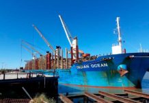 En el puerto de Ibicuy se cargan 34.000 toneladas de madera de pino para exportar a China