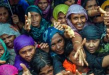 ¿Por qué 2019 ha sido el mejor año en la historia de la humanidad?