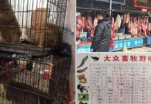 Las terribles imágenes del mercado donde se originó el coronavirus