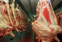 Carne: por la caída de negocios con China se perderían US$450 millones