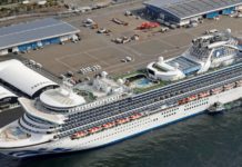 Un pasajero argentino del crucero en cuarentena en Japón tiene coronavirus