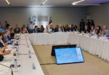 Coronavirus y dengue fueron temas de agenda del Consejo Federal de Salud