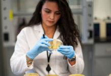 Coronavirus: las pandemias que pusieron al mundo en alerta en la historia reciente (y cómo se afrontaron)