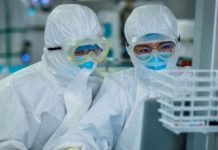 Coronavirus: ¿qué le hace el covid-19 a tu cuerpo?