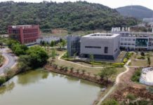 Por qué Estados Unidos acusa a China de haber iniciado una guerra biológica