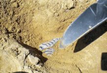 Revelan los secretos de belleza de los habitantes del antiguo Londres