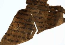 El estudio de los Rollos del mar Muerto se revoluciona con análisis del ADN