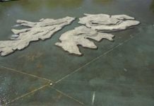 La cuestión Malvinas a través del tiempo: la lucha sin fin de Argentina