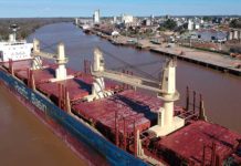 En 18 meses los puertos entrerrianos suman 29 buques con exportaciones al mundo