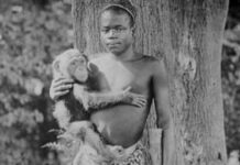 Ota Benga, el adolescente exhibido en una jaula de monos en EE.UU. y las disculpas «incompletas» que llegaron más de un siglo después