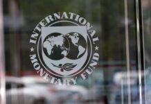 El FMI evalúa las medidas dispuestas por Argentina