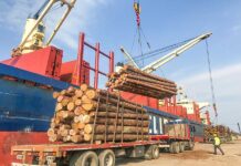 Más de un millón de toneladas exportadas desde los puertos entrerrianos