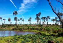 Entre Ríos trabaja en la temporada de turismo 2021