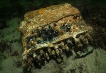 Máquina Enigma: el hallazgo del mítico codificador de mensajes secretos nazi en el fondo del mar