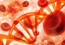 La mutación genética que provoca colesterol alto y es una de las enfermedades hereditarias más comunes en el mundo