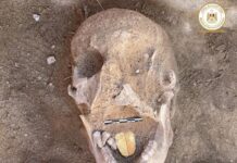El fascinante hallazgo de una momia en Egipto con la lengua de oro
