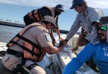 Se mantienen los operativos de fiscalización de la actividad pesquera en la provincia