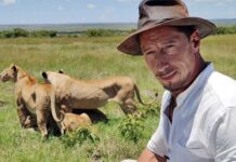 El hombre que camina junto a los leones