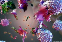 Inmunoterapia para el cáncer: tres tests predictivos ya determinan cuál será útil para cada paciente antes de recibirla