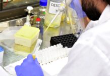 Cuales son los ejes prioritarios de investigación científica y tecnológica en Entre Ríos