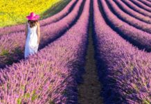 Cómo obtener más beneficios para la salud de tu caminata diaria