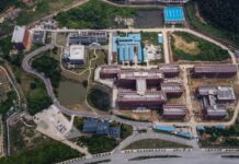 Pese a las sospechas crecientes, China se niega a una investigación plena de su laboratorio en Wuhan y lanza una propuesta insólita