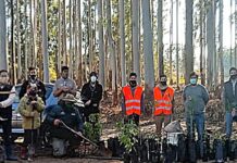 Restauran ambientalmente la región del lago de Salto Grande y plantan más de 60 especies nativas