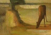 Lanzan nueva edición digital bajo el sello Bellas Ediciones del Museo Provincial de Bellas Artes